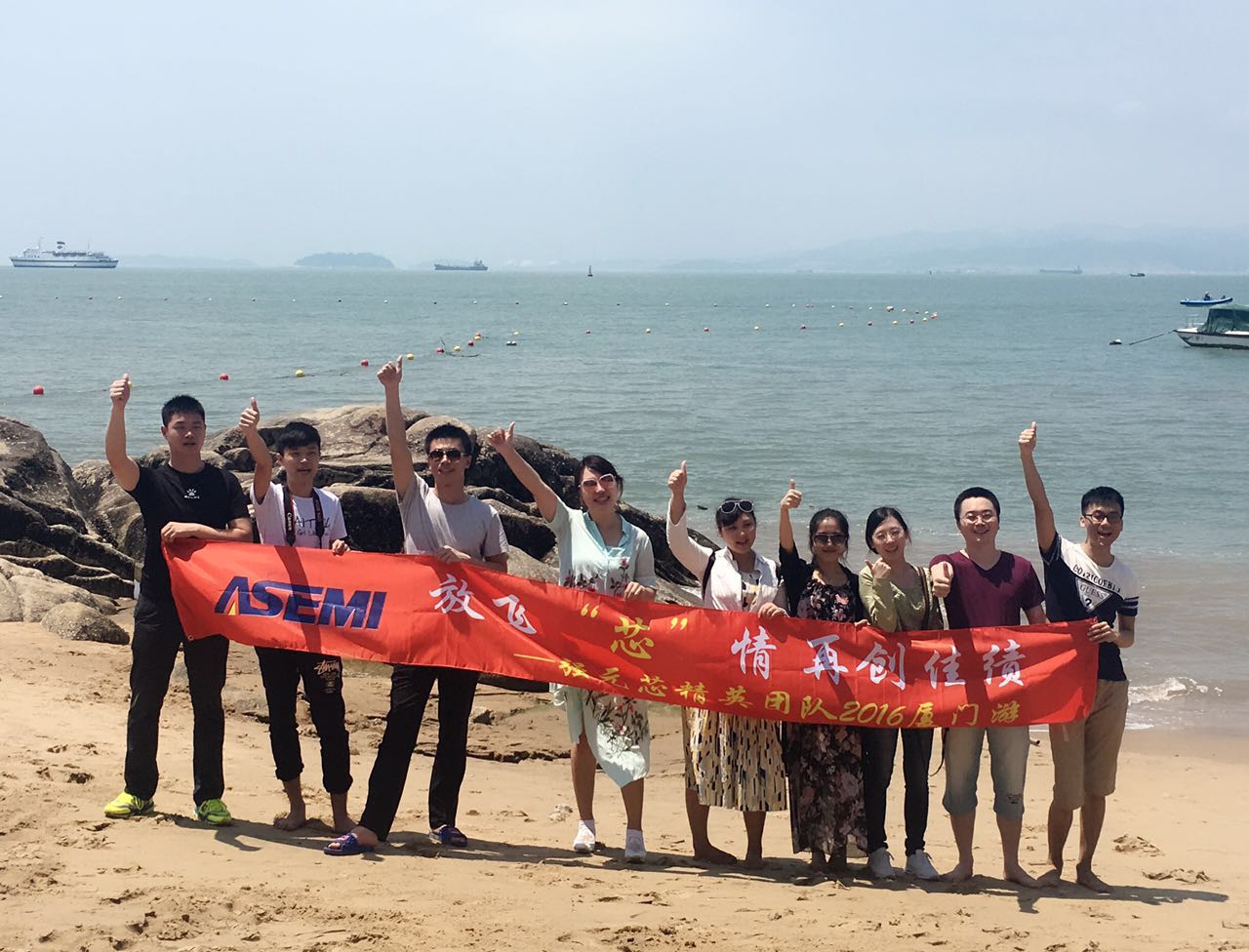 ASEMI精英團隊廈門游，面朝大海，放飛“芯”情！