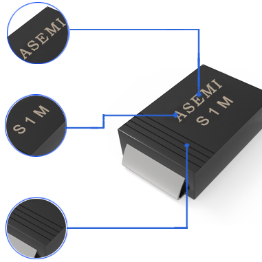 S1M 詳解2